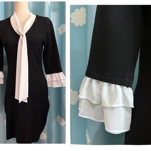 Wednesday Addams pilgrim sorority sister dress. S